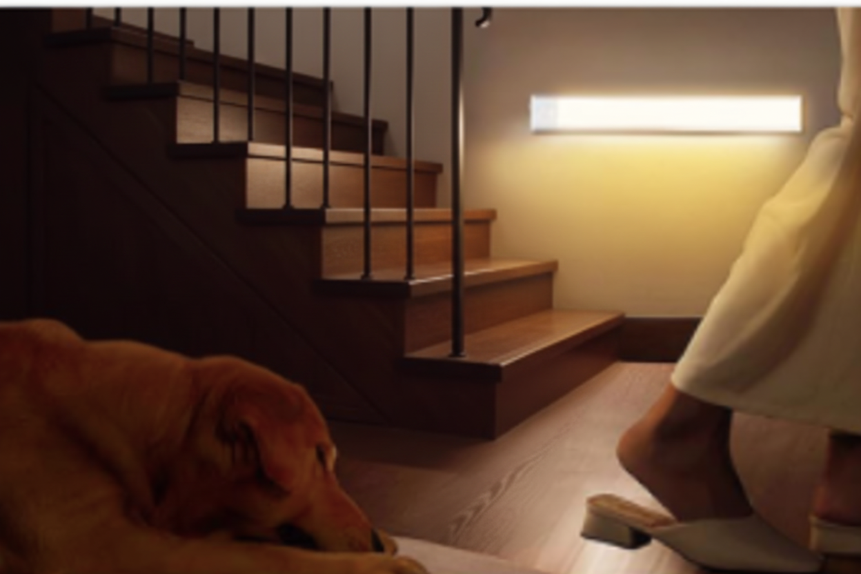 LISMII - Caminho Seguro Pack 3